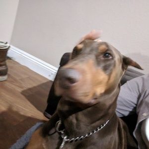 Meet your Posher, Timothy